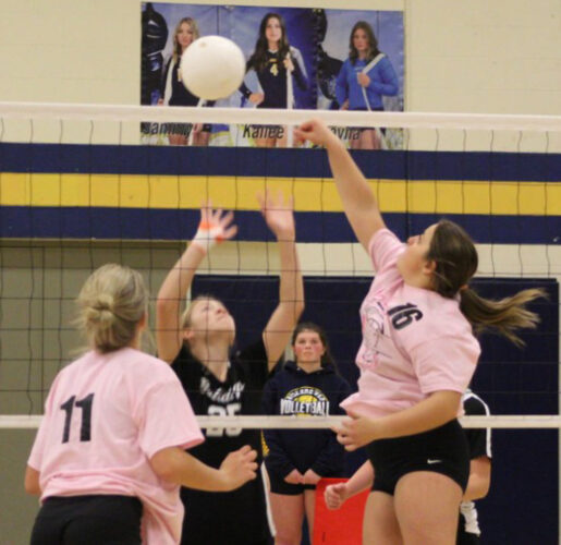 Eisenhower Takes Down Tidioute Charter On Annual pink out Night In 